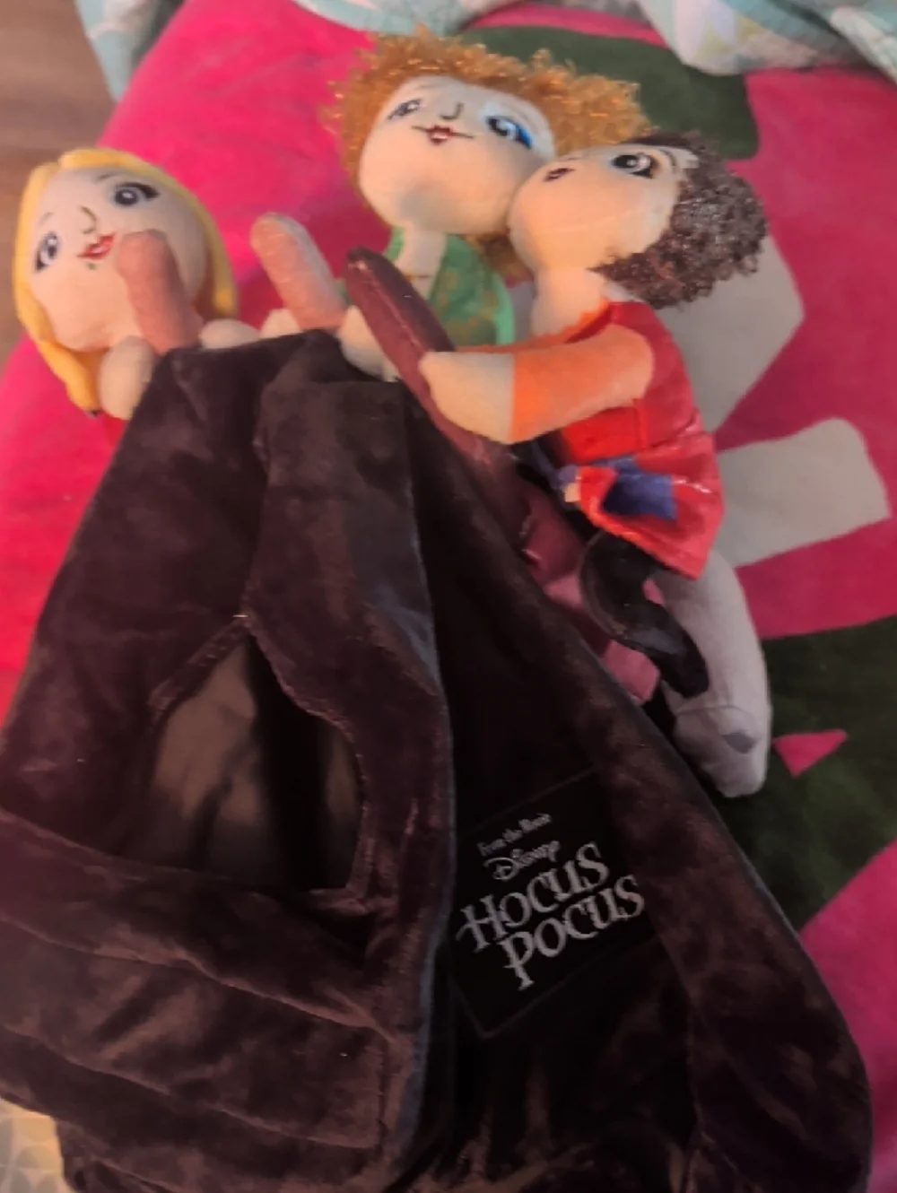 Disney Chewy Pet Apparel Large Dog Costume Hocus Pocus New